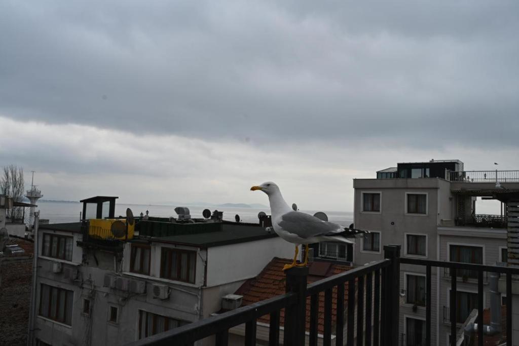 Apartment Albatros